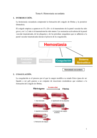 Hemostasia-secundaria-.pdf