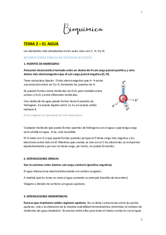 BIOQUIMICA.pdf
