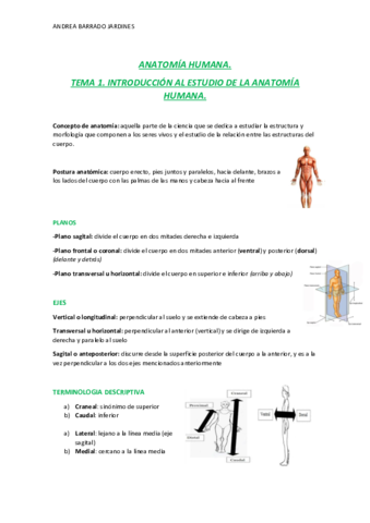 APUNTES-DE-ANATOMIA-CURSO-2021-22.pdf