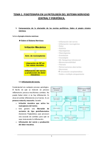 Tema-1.pdf