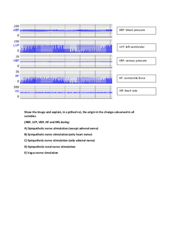 Multimedia-2.pdf