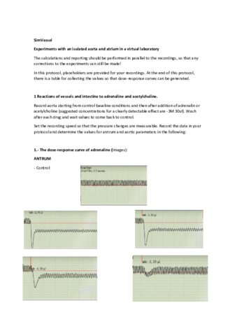 Multimedia-3.pdf