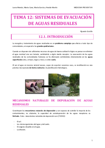 PREVENTIVA-TEMA-12.pdf
