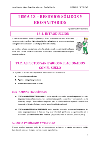 PREVENTIVA-TEMA-13.pdf