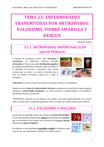 PREVENTIVA-TEMA-23.pdf