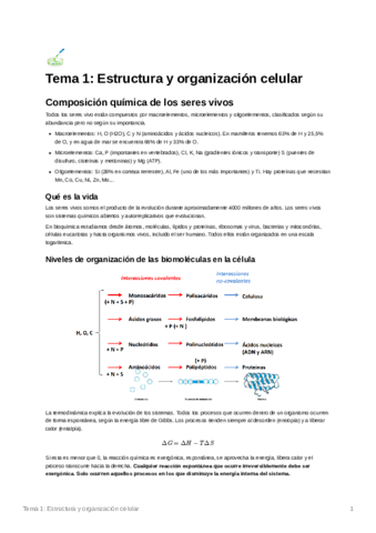 Tema1Estructurayorganizacincelular.pdf