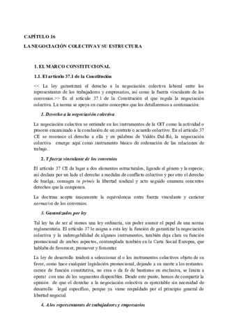 Derecho-Sindical-Tema-16.pdf