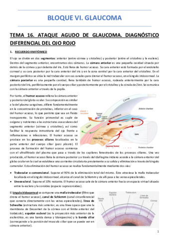 BLOQUE-VI-GLAUCOMA.pdf