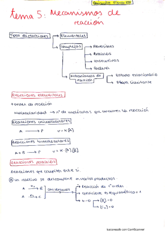 TEMA-5.pdf