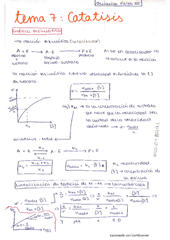 TEMA-7.pdf