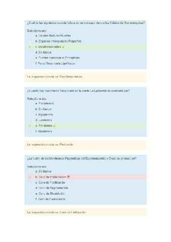 Segundo-Parcial-2021.pdf