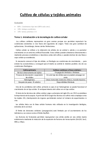 Apuntes-CCTA.pdf