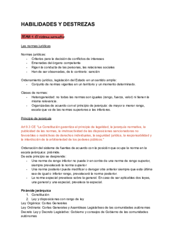 HABILIDADES-Y-DESTREZAS.pdf