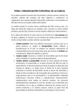 TEMA 1 ORGANIZACIÓN FUNCIONAL DE LA CABEZA.pdf