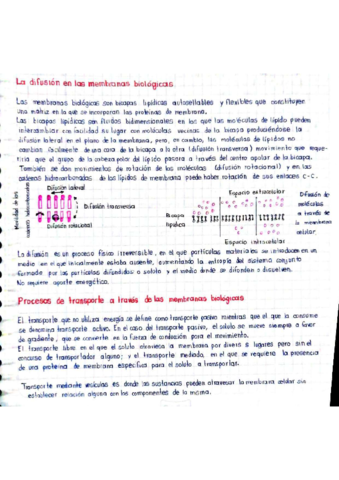 Difusion-de-las-membranas-biologicas.pdf