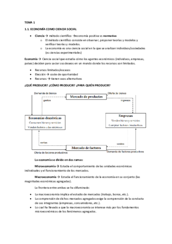 TEMA-1.pdf