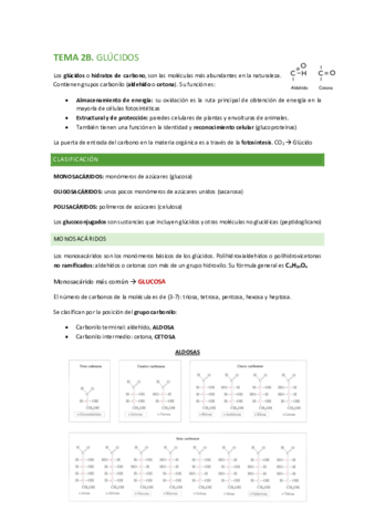 TEMA-2B-Glucidos.pdf