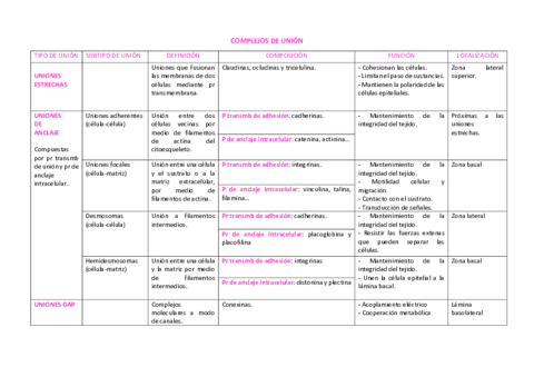 COMPLEJOS-DE-UNION.pdf