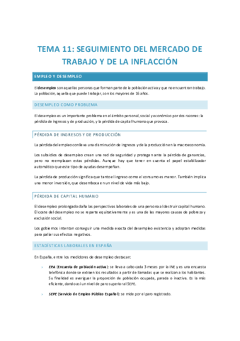 TEMA-11.pdf