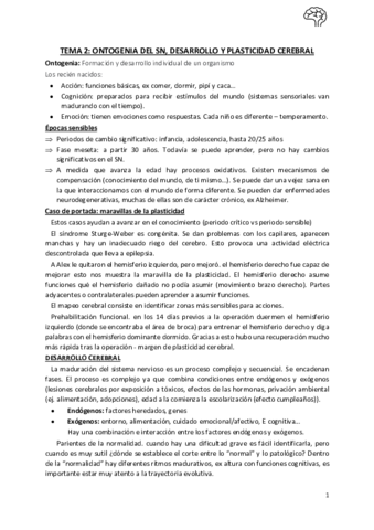Tema-2-Neurospicologia.pdf