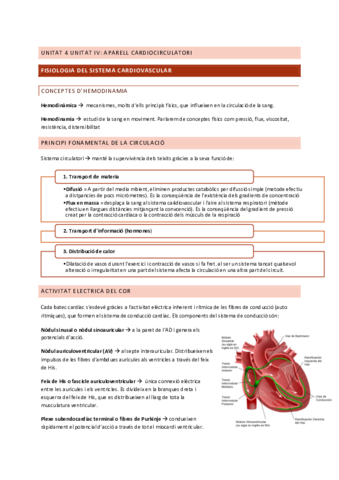 U4-parell-Cardioresp-Funcio-II.pdf