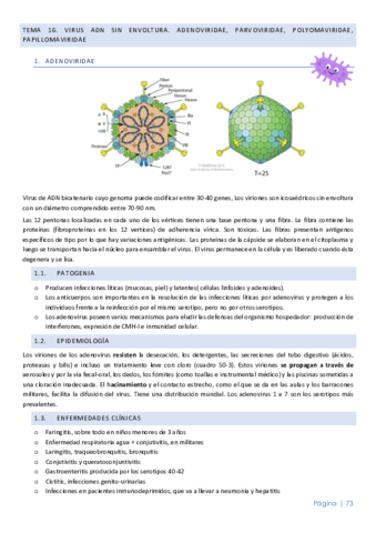 Virus.pdf