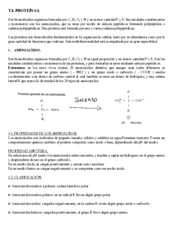 T4. PROTEÍNAS..pdf
