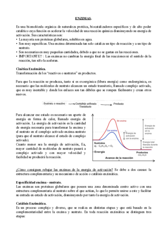 ENZIMAS.pdf