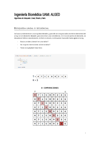 (8) Algoritmos de busqueda.pdf