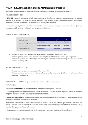 TEMA-11.pdf