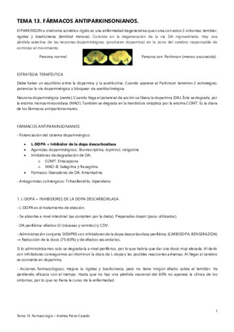 TEMA-13.pdf