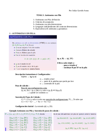ResumenT5.pdf