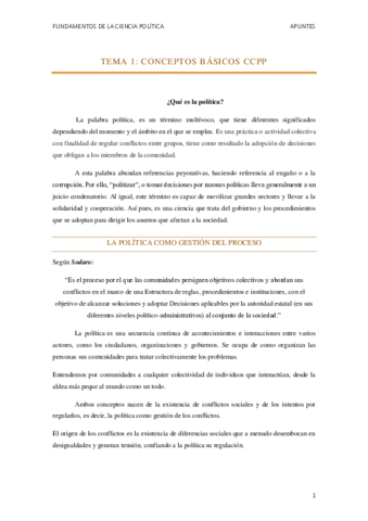 APUNTES-CCPP.pdf