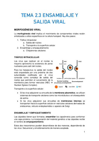 TEMA-2.pdf