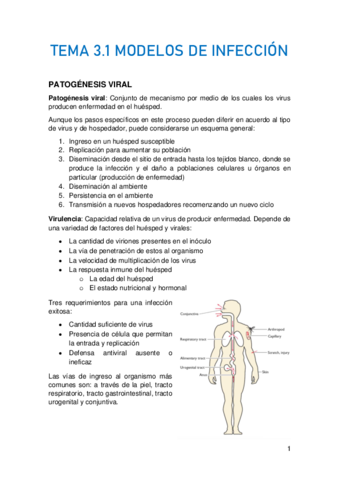 TEMA-3.pdf