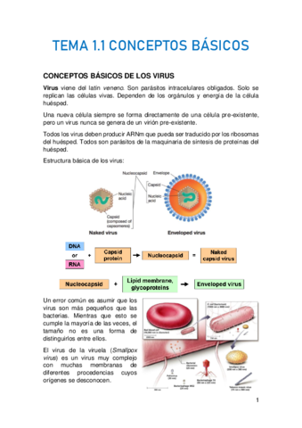 TEMA-1.pdf