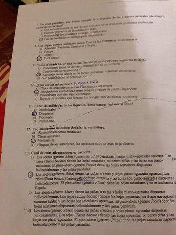 IMG-20140705-WA0004.jpg