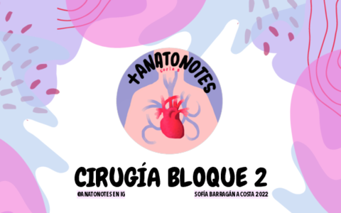 CIRUGIA-2.pdf