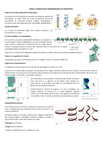 T4-Estructura-de-proteinas.pdf