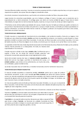 T8-Teixit-muscular.pdf