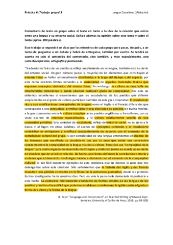 Practica-5-Trabajo-grupal-comentario-de-texto.pdf