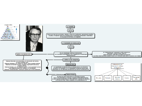 LA-TAXONOMIA-Elaborado-por-Alberto-Quintal.pdf