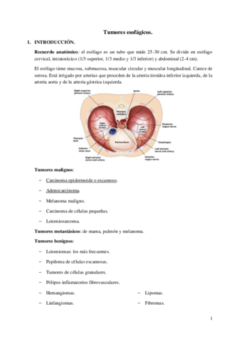 5.Tumores esofágicos