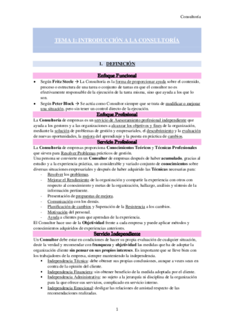 TEMA-1-Consultoria.pdf