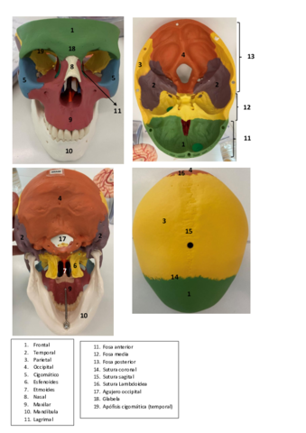 Localizacion-estructuras.pdf