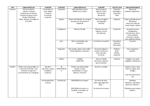 TABLA-TEJIDOS-ANIMALES-corregidos.pdf