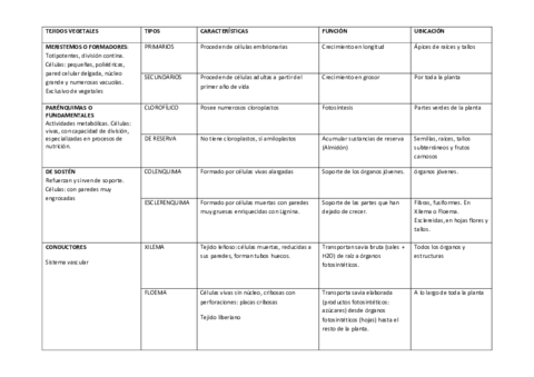 TABLA-TEJIDOS-VEGETALES-corregidos.pdf