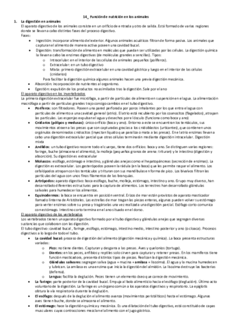 14-Funcion-de-nutrcion-en-animales.pdf