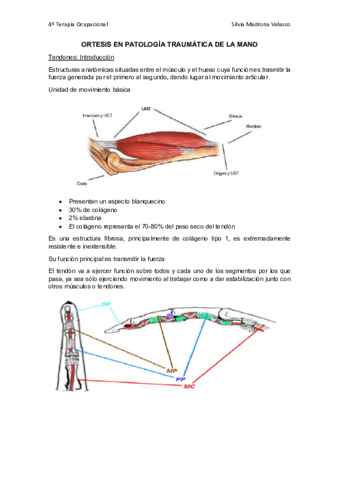 Ortesis-en-patologia-traumatica-de-la-mano.pdf