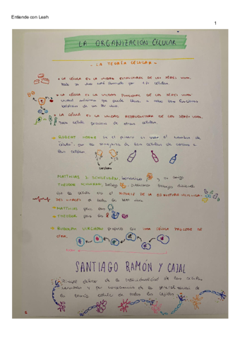 A-colorLa-organizacion-celular1oBachiller.pdf